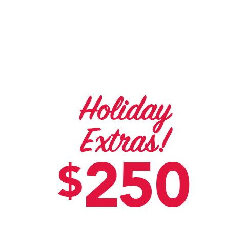 Holiday Bag - $250